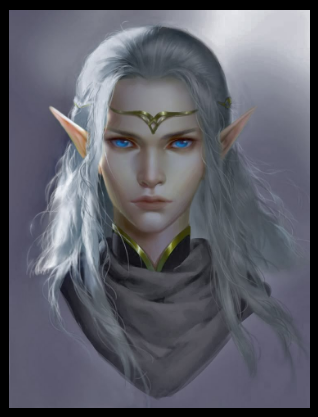 A silver-haired High Elf of the noble houses